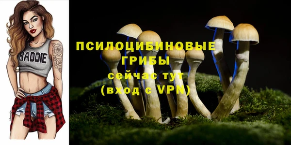 гидропоника Гусев