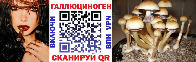 мориарти как зайти Жирновск Галлюциногенные грибы мухоморы